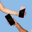 Tampa Bay Rays Privacy Screen Protector