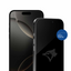 Toronto Blue Jays Clear Screen Protector