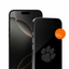 Clemson Tigers Clear Screen Protector