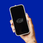 Florida Gators Clear Screen Protector