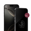 Florida State Seminole's Clear Screen Protector