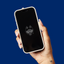 Connecticut Huskies (UCONN) Privacy Screen Protector