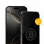 Boston Bruins Clear Screen Protector