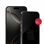 St Louis Cardinals Clear Screen Protector